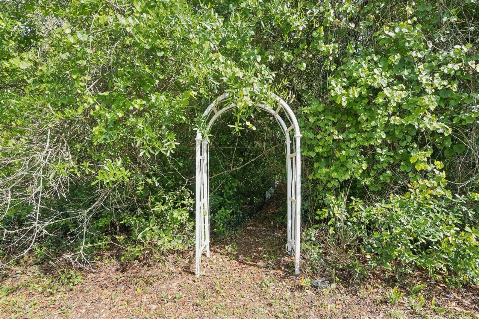 SPRING HOLLOW PH 01 - Residential