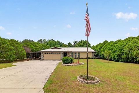 Photo of 5 Lonesome Pine Trail, Yalaha, FL 34797 (MLS # O6406858)
