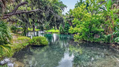 Tiny photo for 5 Lonesome Pine Trail, Yalaha, FL 34797 (MLS # O6406858)