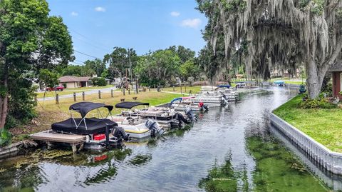Tiny photo for 5 Lonesome Pine Trail, Yalaha, FL 34797 (MLS # O6406858)