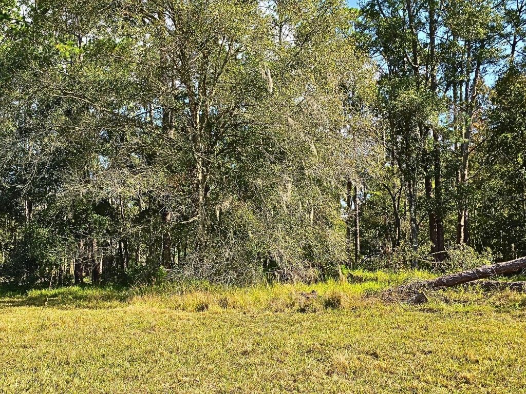 Photo of 0 Bennington Drive, Wesley Chapel, FL 33544 (MLS # TB8450578)