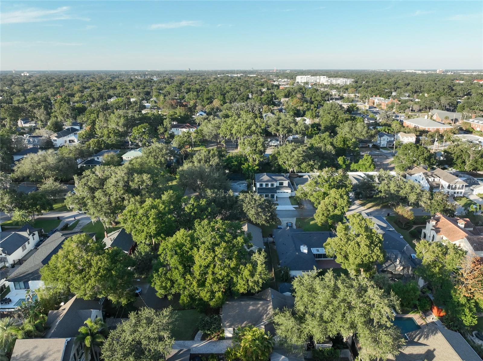 LAKE ADAIR GROVES - Residential