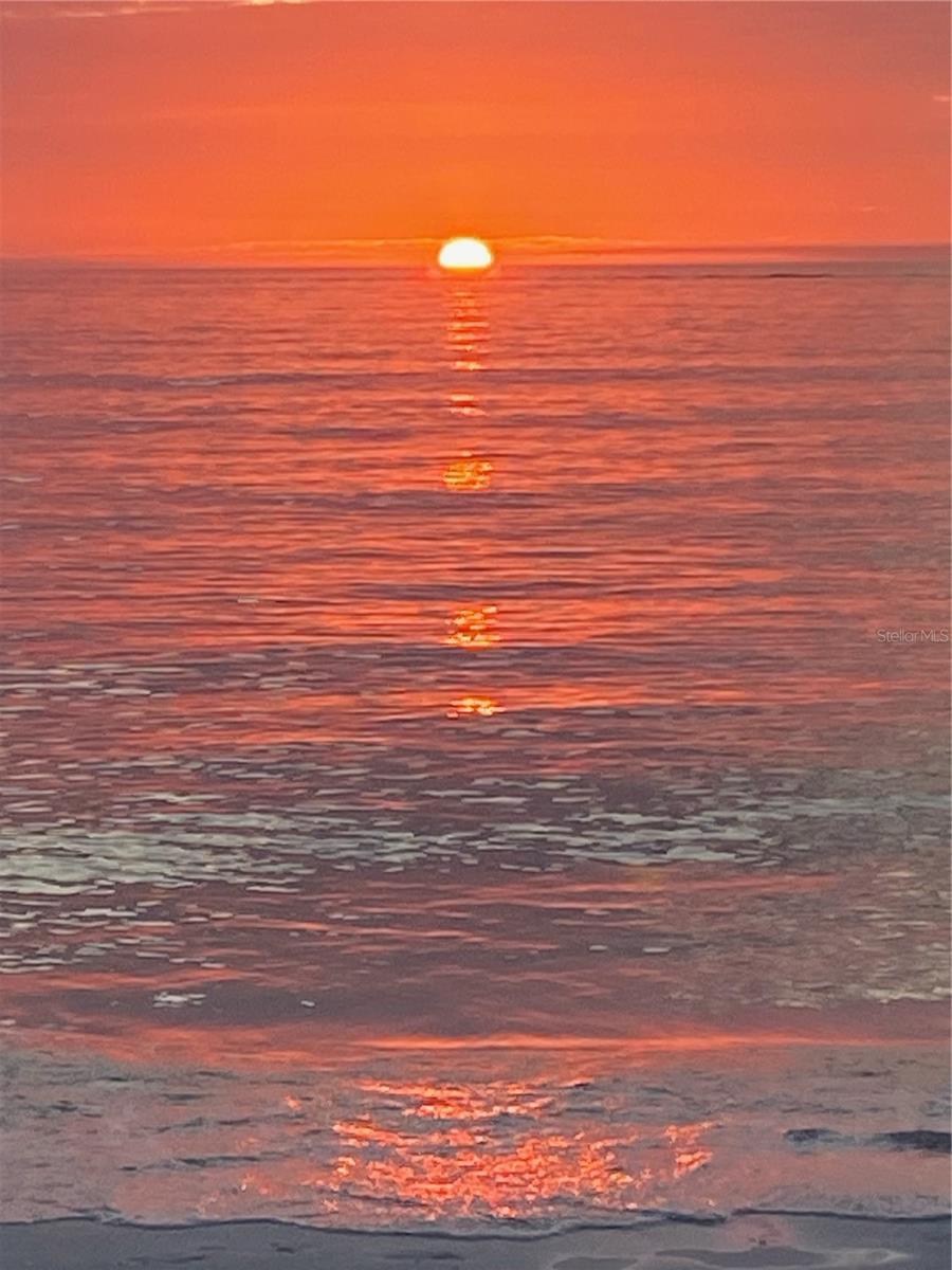 THE RESIDENCES - Residential Lease