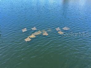 GULF SHORES - Residential