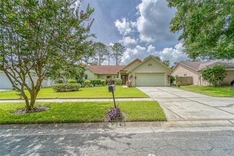 A home in TAMPA