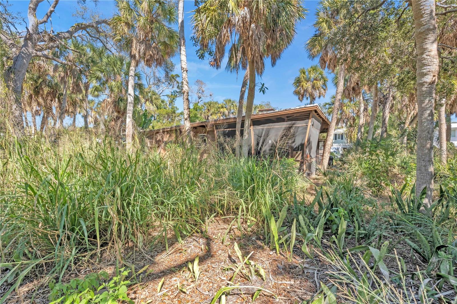 SIESTA BEACH - Residential