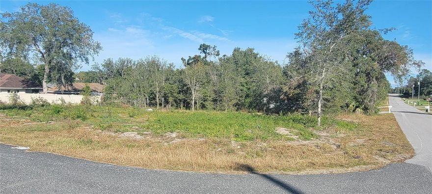 CLEARED LOT! Located in the heart of Summerfield, this 0.22-acre residential lot (75' x 125') offers an excellent opportunity to build your dream home. NO flood zone, with NO wetlands or endangered species concerns, it's a prime site for development. Surrounded by existing homes, this peaceful yet growing neighborhood provides a sense of community with NO HOA. Enjoy the convenience of being just minutes from The Villages, Belleview, and Ocala—offering easy access to shopping, dining, medical facilities, and entertainment. The Villages’ Mulberry Shopping Plaza, featuring Publix, restaurants, medical offices, a convenience store, and a VA clinic, is just a short drive away. Families will also appreciate proximity to Harbour View Elementary and Lake Weir Middle School. Don’t miss this great opportunity in a desirable location! Owners plans changed. Great Opportunity! Call now.
