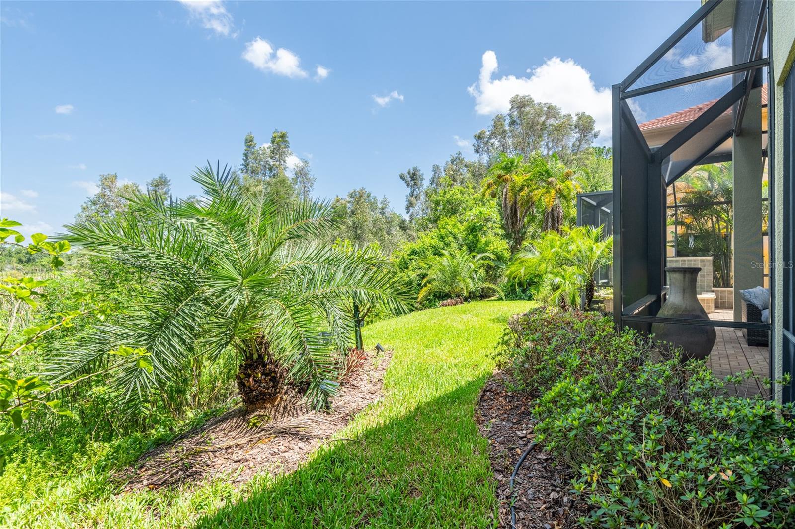 CALIENTE - Residential