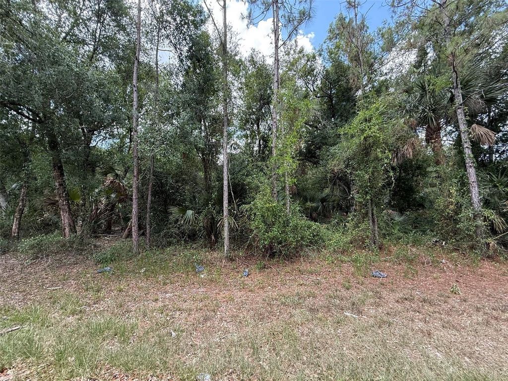 Photo of 15501 Whitehall Avenue, Port Charlotte, FL 33953 (MLS # OK225145)