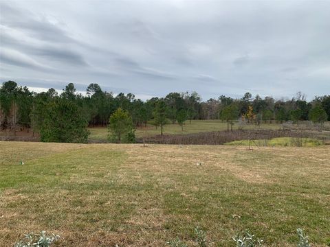 A home in BROOKSVILLE