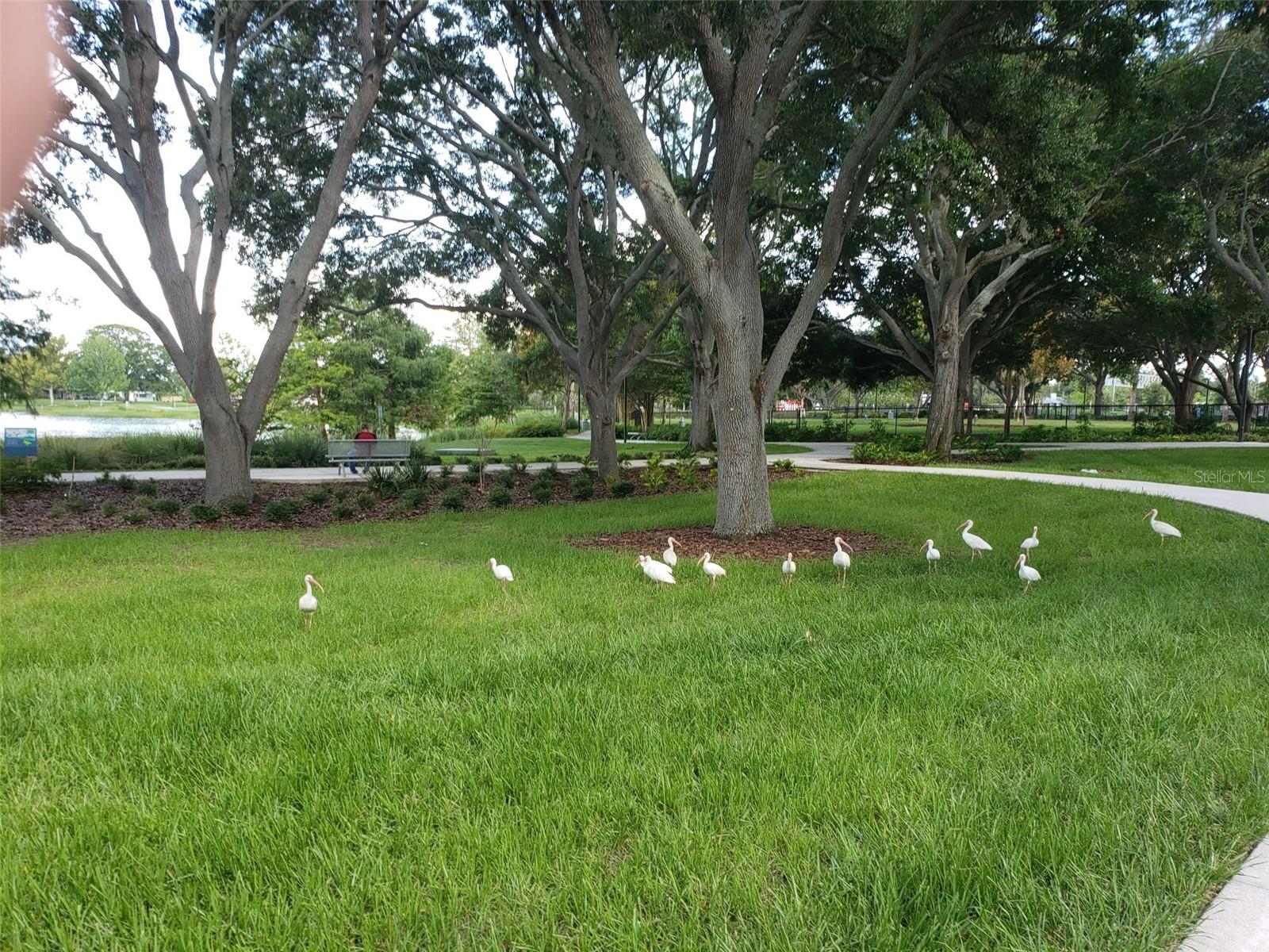 BOULEVARD HEIGHTS - Residential Lease