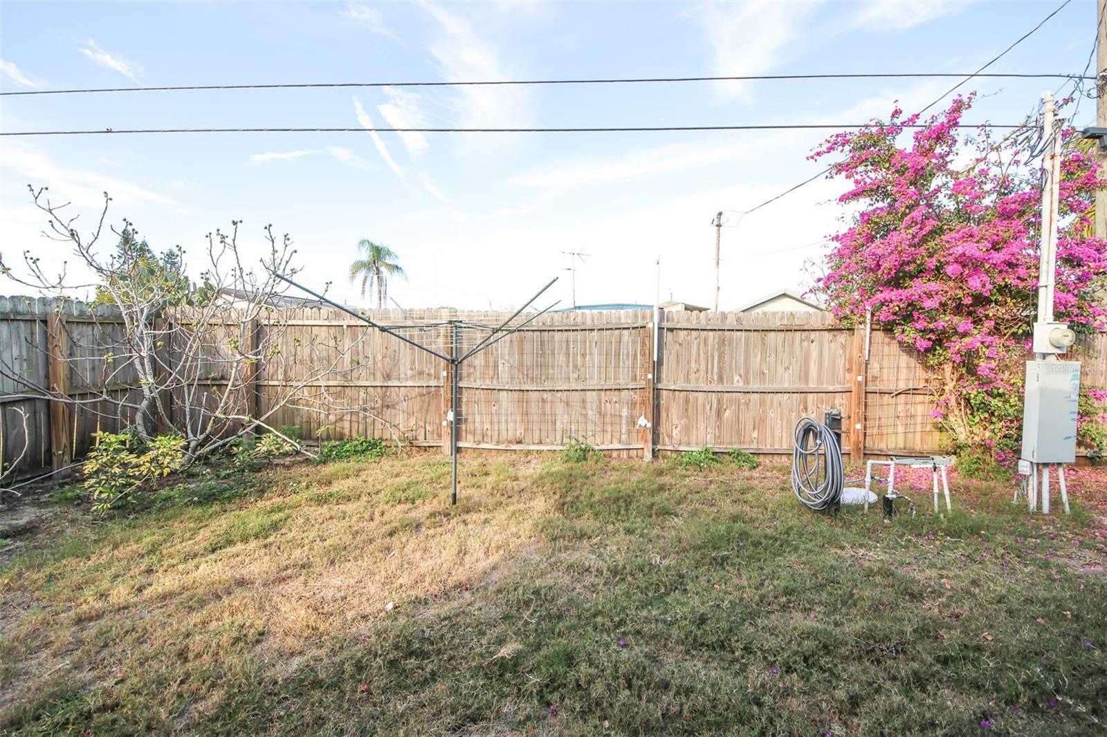 BUENA VISTA - Residential