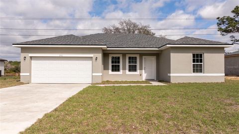 Photo of 2901 W Redgate Drive, Dunnellon, FL 34433 (MLS # O6356862)