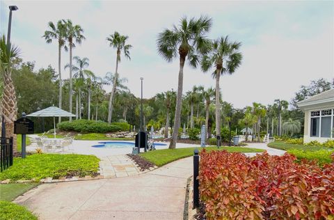 A home in TAMPA