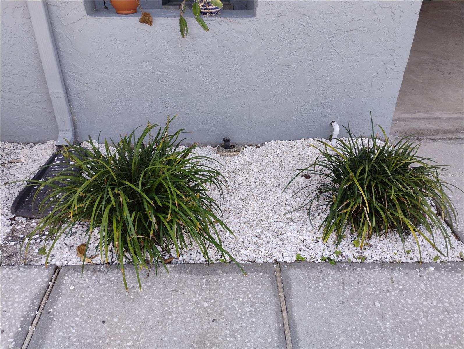 DOVE HOLLOW-UNIT II - Residential