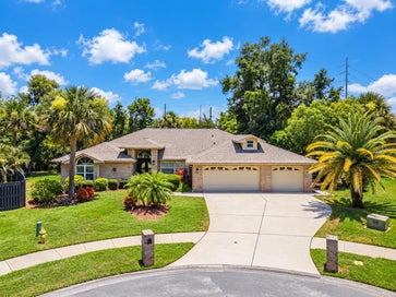 2899 TURTLE TERRACE PALM HARBOR FL 34683