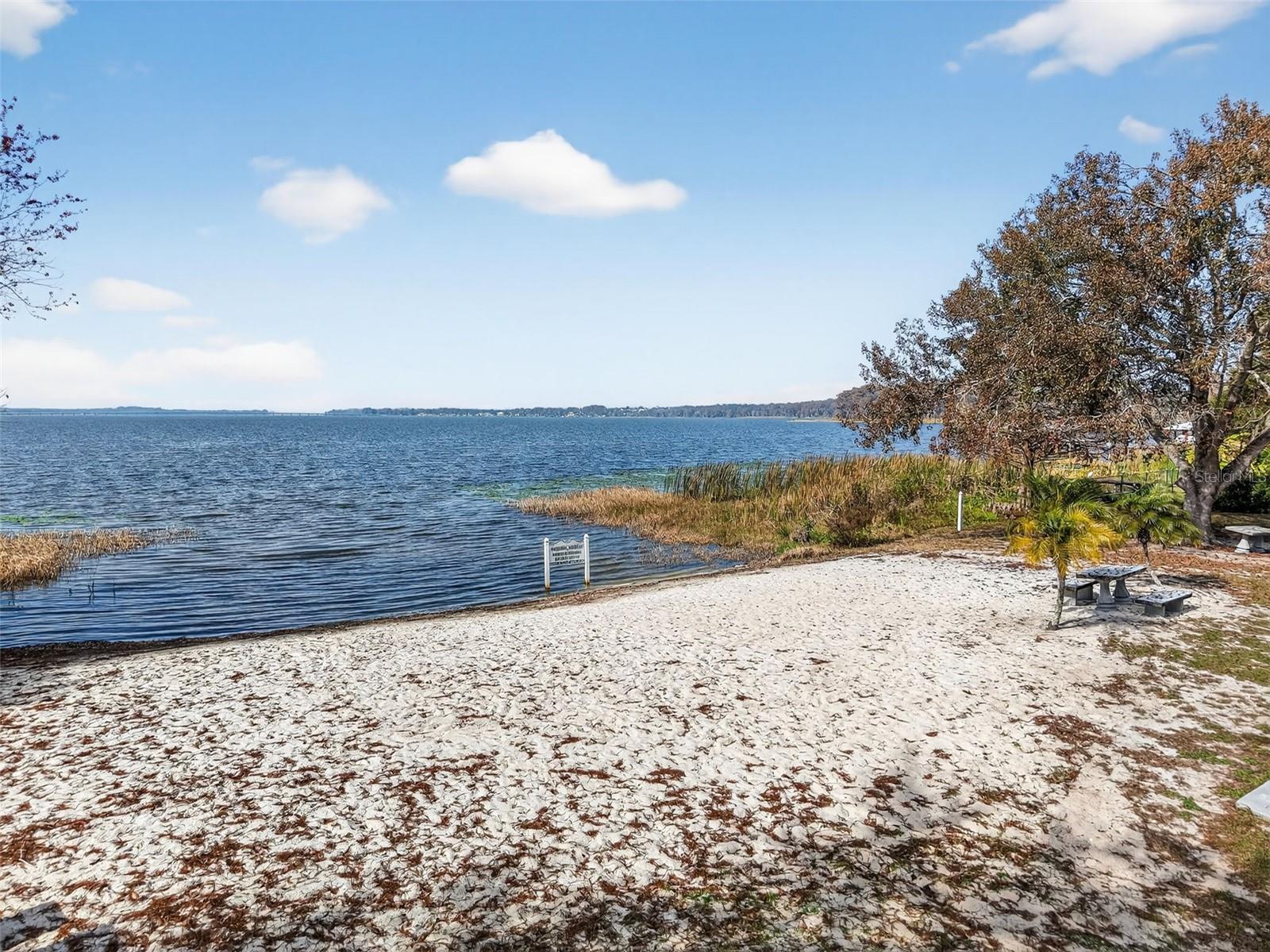 LAKE HARRIS SHORES - Residential