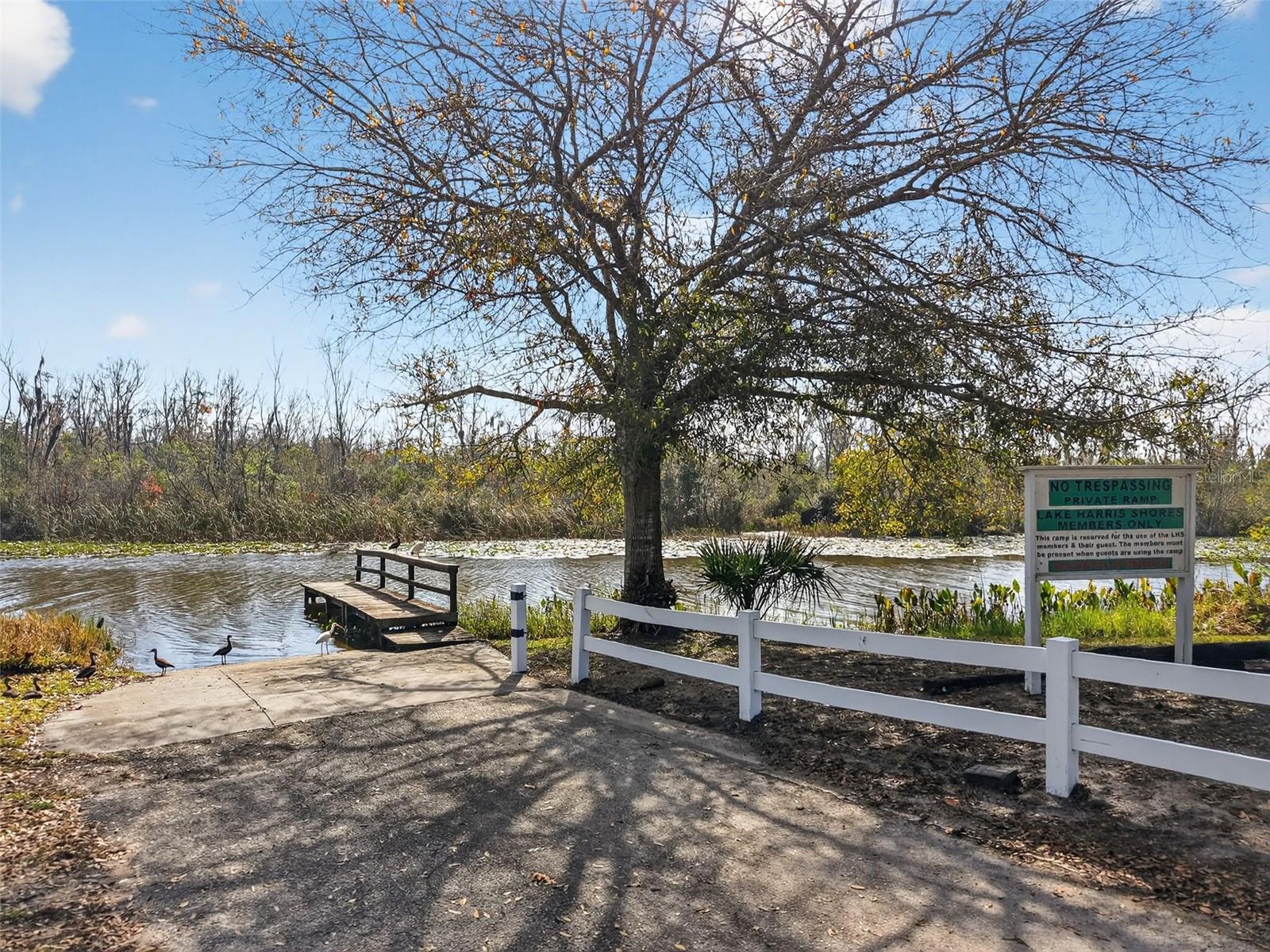 LAKE HARRIS SHORES - Residential