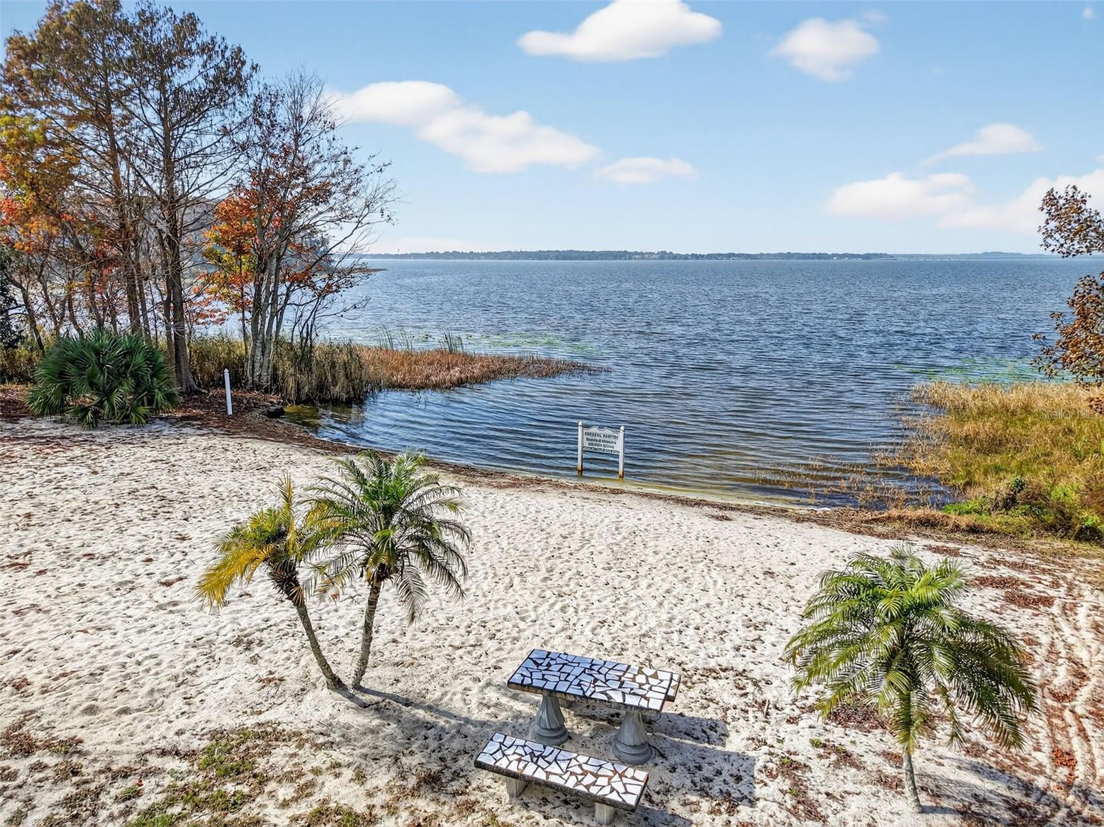 LAKE HARRIS SHORES - Residential