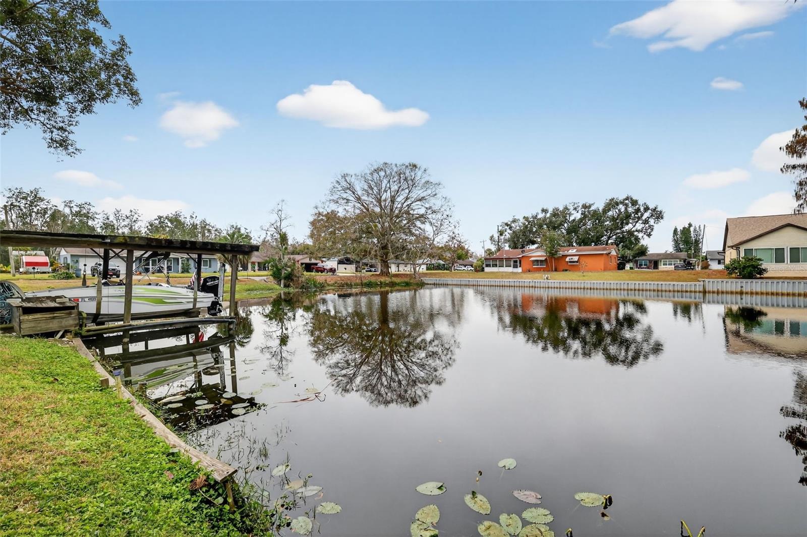 LAKE HARRIS SHORES - Residential