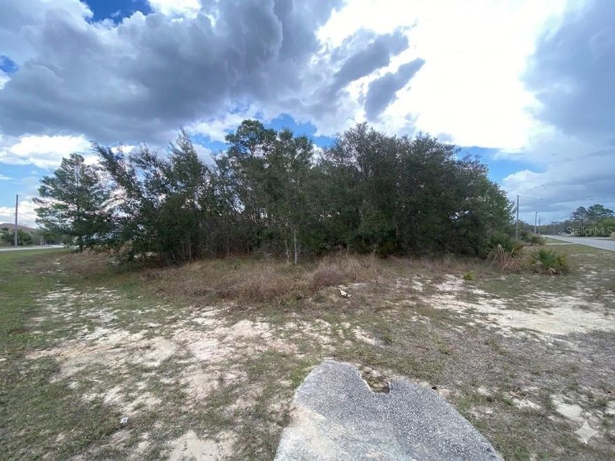 Vacant corner residential lot located in the established Poinciana community in Polk County. The property provides space for construction of a single-family home, subject to county and community building requirements. Conveniently located near shopping, dining, schools, and major roadways providing access to surrounding areas. Buyer to verify zoning, utilities, lot dimensions, and building requirements with Polk County and the appropriate governing authorities.