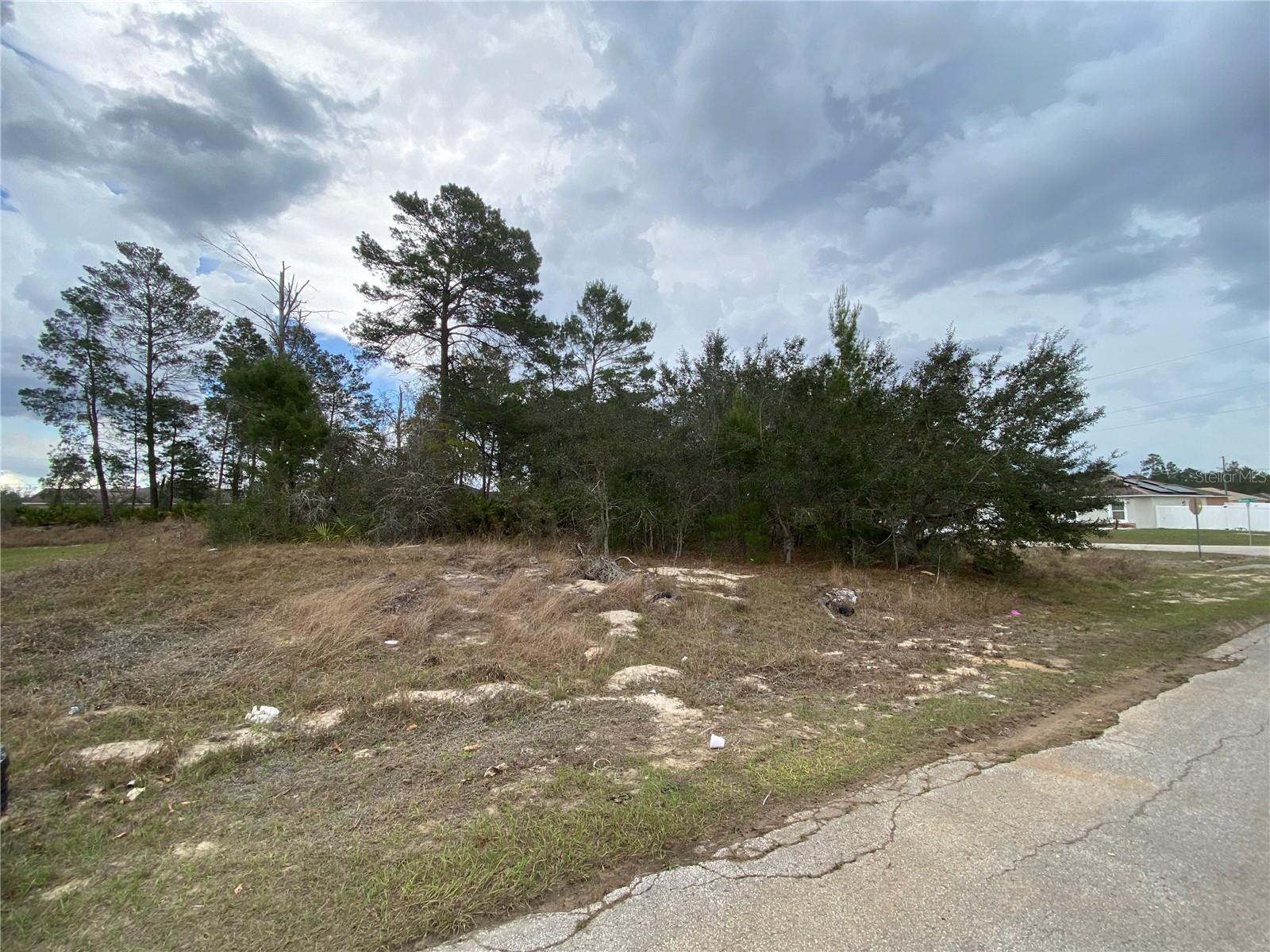 POINCIANA NBRHD 02 VILLAGE 08 - Land