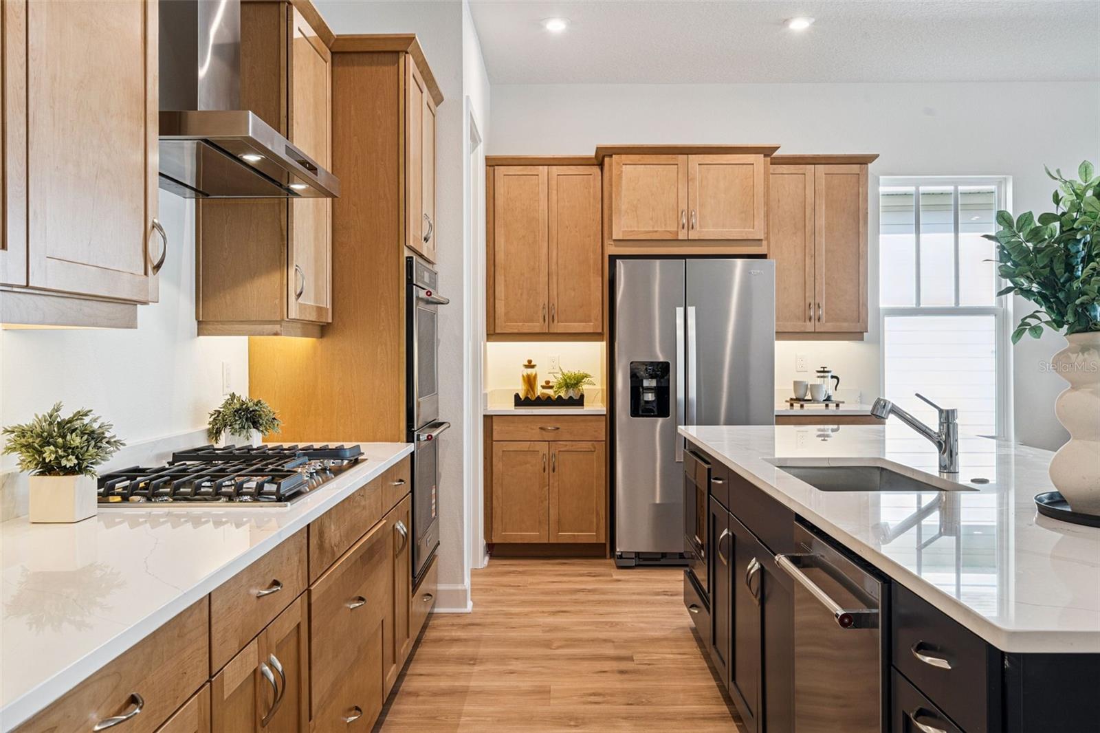 CELEBRATION ISLAND VILLAGE - Residential