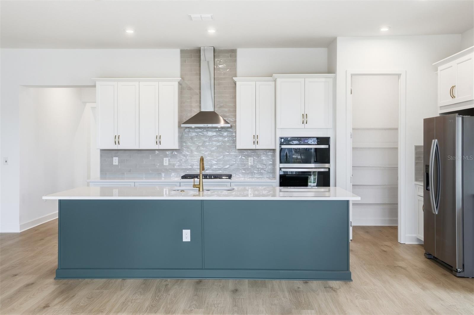 CELEBRATION ISLAND VILLAGE - Residential