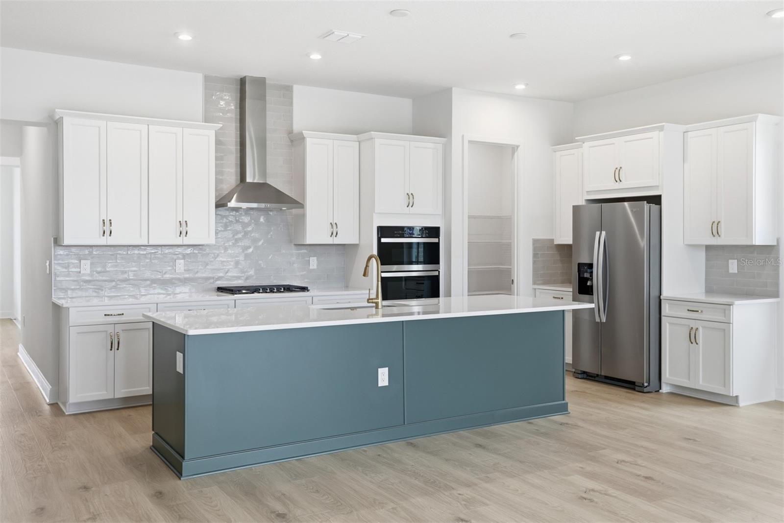 CELEBRATION ISLAND VILLAGE - Residential