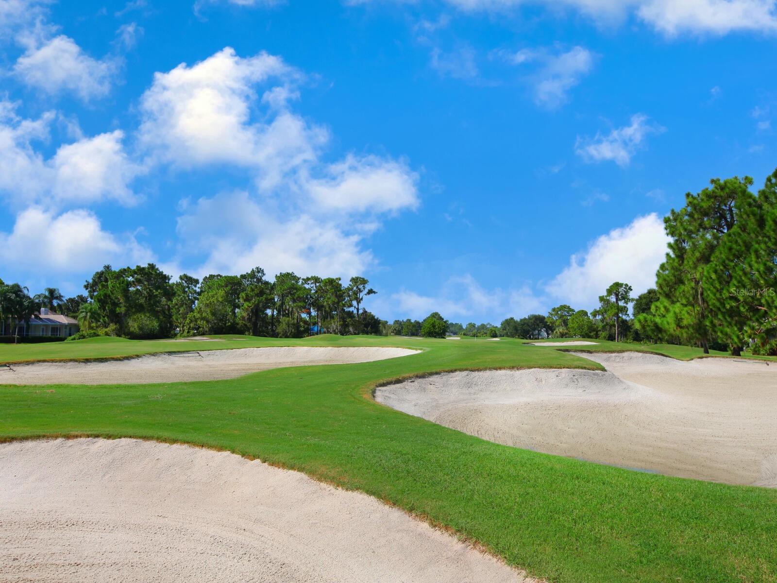 UNIVERSITY PARK - Residential