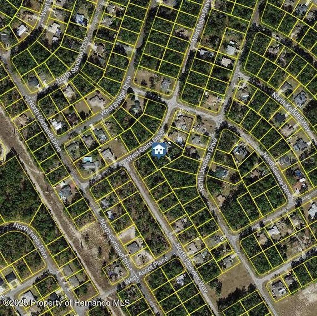 Photo of 1176 W Cairo Drive, Citrus Springs, FL 34434 (MLS # W7878974)