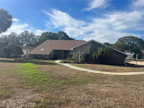 Photo of 5375 Patricia Place, Weeki Wachee, FL 34607 (MLS # W7881205)