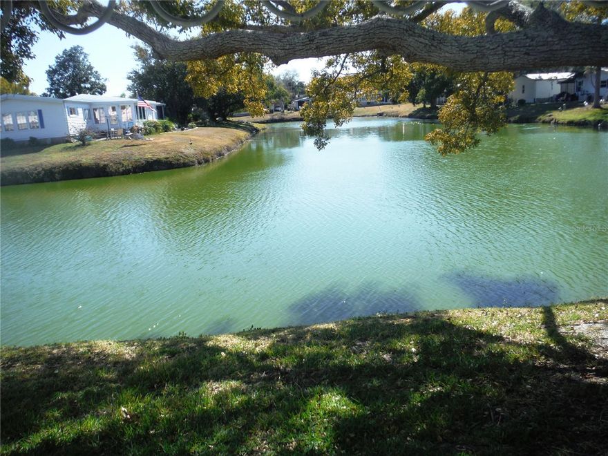 This home has an awesome water view of Horseshoe Lake from the bonus room.  It is totally renovated and has a great location - steps from the clubhouse.  Here are some of the upgrades: Many newer windows, front door, heat pump 2 1/2 years, high end waterproof laminate floors 3 years, soft close kitchen cabinets, pullouts, granite countertops & back splash 3 years, above stove whirlpool microwave 3 years, garbage disposal 3 years, stainless steel Maytag appliances 5 years, large washer & dryer 5 years inside the house, utility sink 3 years, water heater 5 years, water softener 5 years, high 17" toilets 5 years, Bath Fitters walk-in shower 6 years, light fixtures & ceiling fan 5 years, upgraded electric 3 years, interior paint 5 years. This home will blow your mind! You may also have a cat or a dog up to 25 pounds. This home includes the 50X80 lot that you own. The clubhouse is across the street and has been remodeled. The pickleball court has just been put in recently. Other amenities include a heated pool & spa, shuffleboard, gym, and a lot where you can park your RV or your boat.  These amenities also include the private roads, all for only $250 maintenance fee/Month.  Measurements approximate.