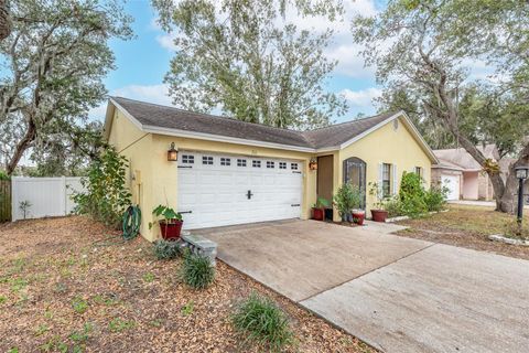 A home in BRANDON