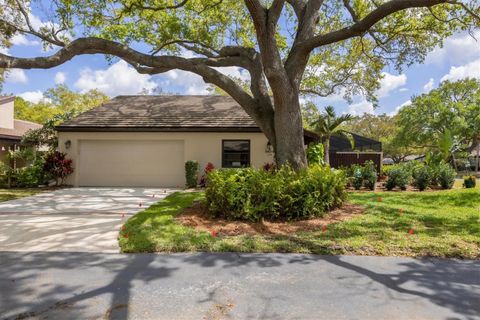 A home in SARASOTA