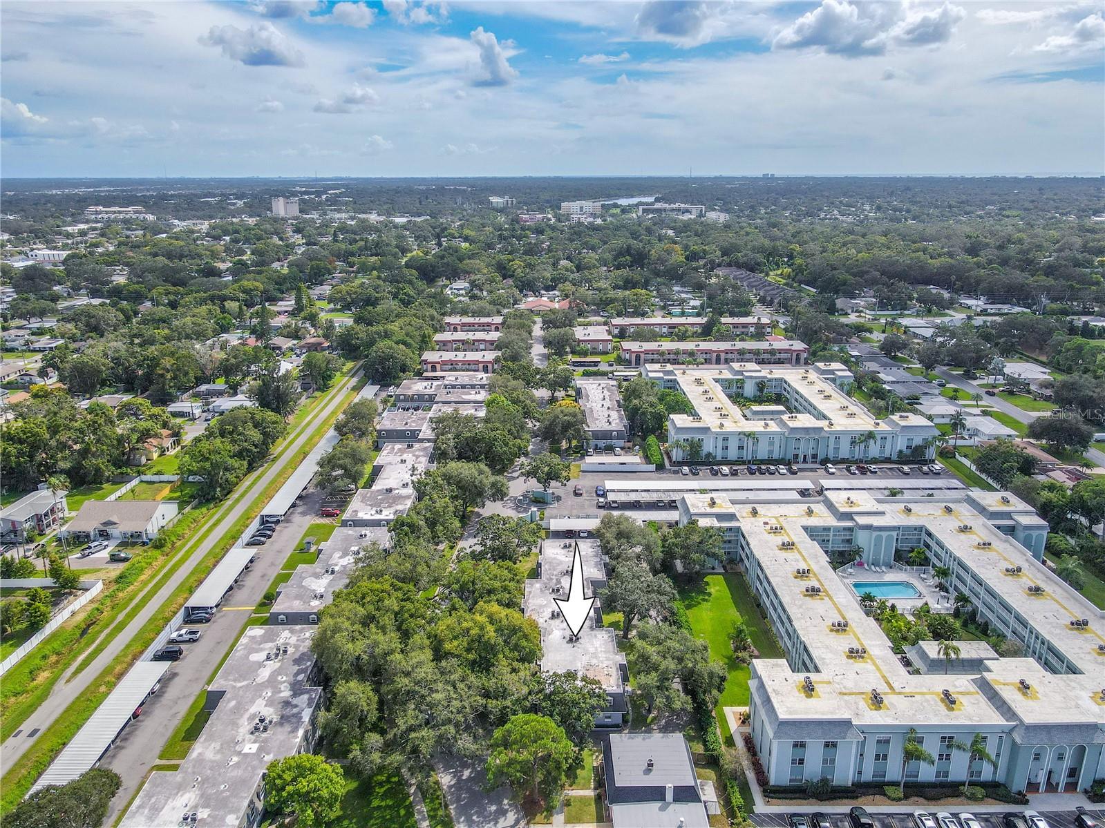 BELLEAIR FOREST GARDEN CONDO - Residential