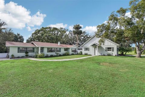 A home in MOUNT DORA