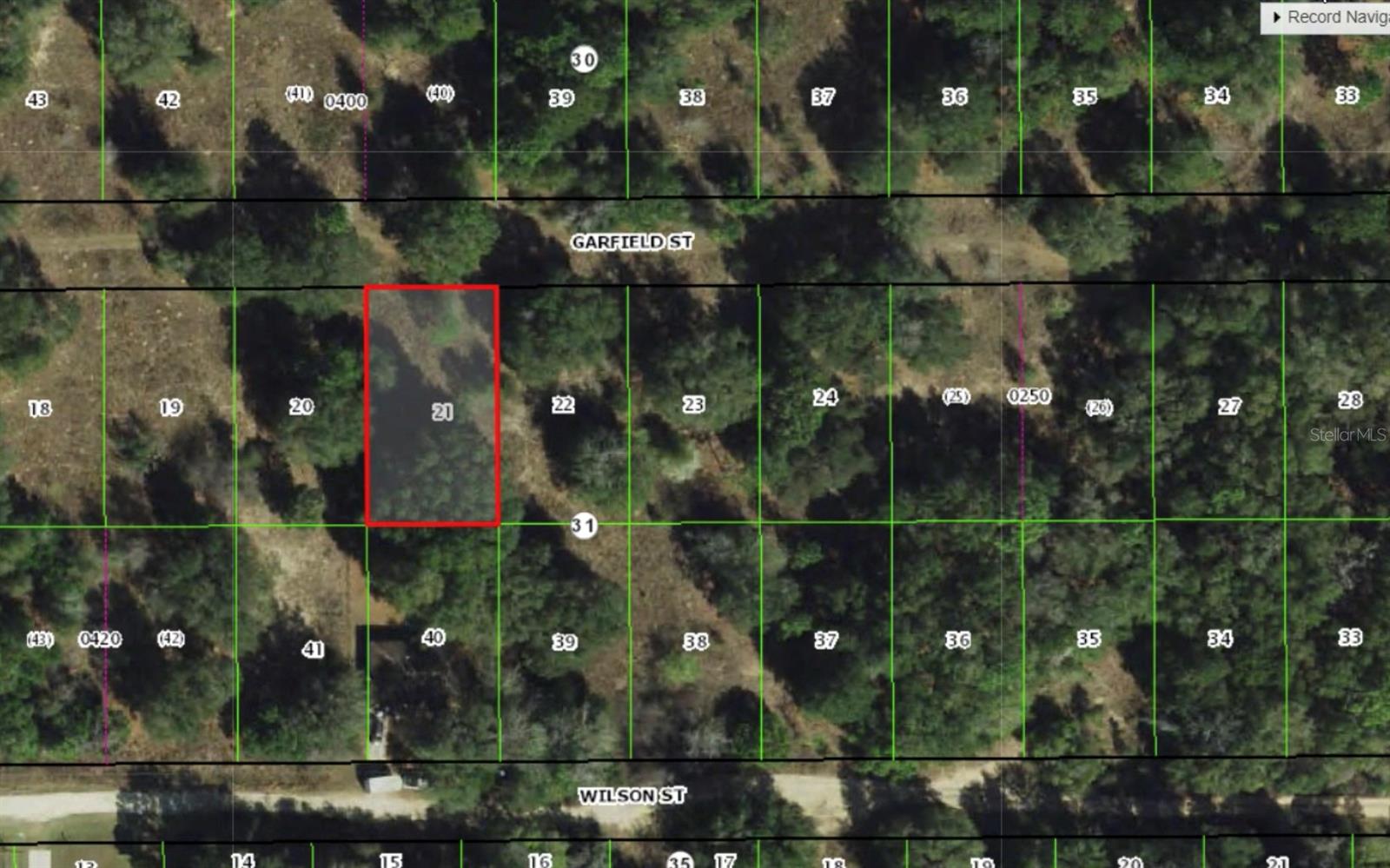 Prime Location Situated within the Inverness city limits, bringing the convenience of nearby amenities while retaining quiet seclusion. Nearby Attractions: Historic Downtown Inverness, Valerie Theatre, and charming shops and restaurants. Withlacoochee State Trail—offering 46 miles of scenic biking, walking, and jogging paths. Healthcare, parks, and boating access—including boat ramps onto the scenic Inverness chain of lakes, ideal for outdoor enthusiasts. Quiet & Private: The neighborhood is lightly developed with abundant natural wildlife, perfect for tranquility and privacy!