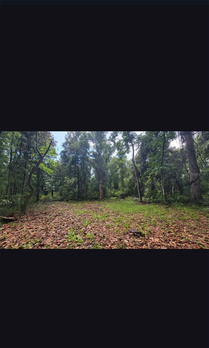 Explore this tranquil piece of old Florida, selectively cleared 1-acre lot on paved SW?25th Ave in desirable Chiefland, FL. Bring your building plans—city water and electricity are at the street, a septic system will be needed. Zoned R2 for single-family, modular, or manufactured homes—confirm via City of Chiefland zoning, Parcel ID 18557-000-00—this lot offers the ideal canvas for your dream home or a peaceful rural retreat, with many mature Southern Magnolia and Live Oaks. Located minutes from schools, shopping, Suwannee River access, natural springs, and Gulf beaches. Easy commute to Gainesville, Ocala, and Crystal River. Don’t miss this rare opportunity to build your rural Florida retreat. Survey done recently in 2021, owned with a clean title easy to transfer.