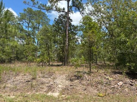 TBD SW SOUTHVIEW COURT DUNNELLON FL 34431