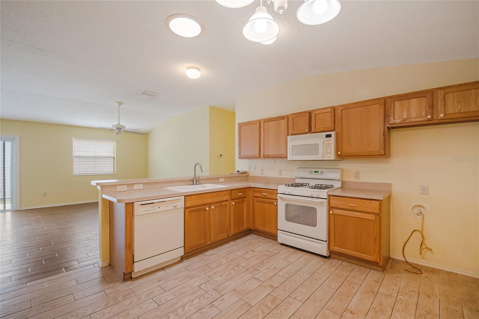 VILLAGES OF SUMTER SOUTHERN OAKS VILLAS - Residential