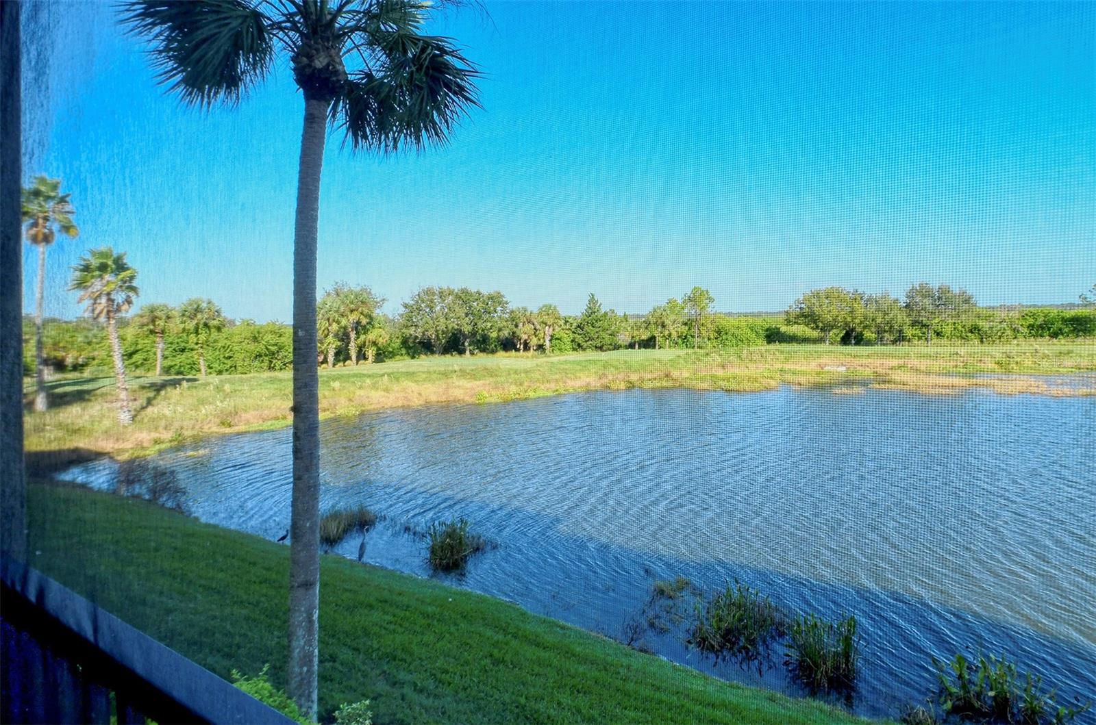 7005 RIVER HAMMOCK DRIVE 204