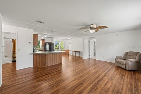Tiny photo for 23400 Panther Road, Astor, FL 32102 (MLS # G5114262)