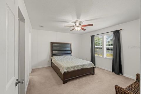 Tiny photo for 23400 Panther Road, Astor, FL 32102 (MLS # G5114262)
