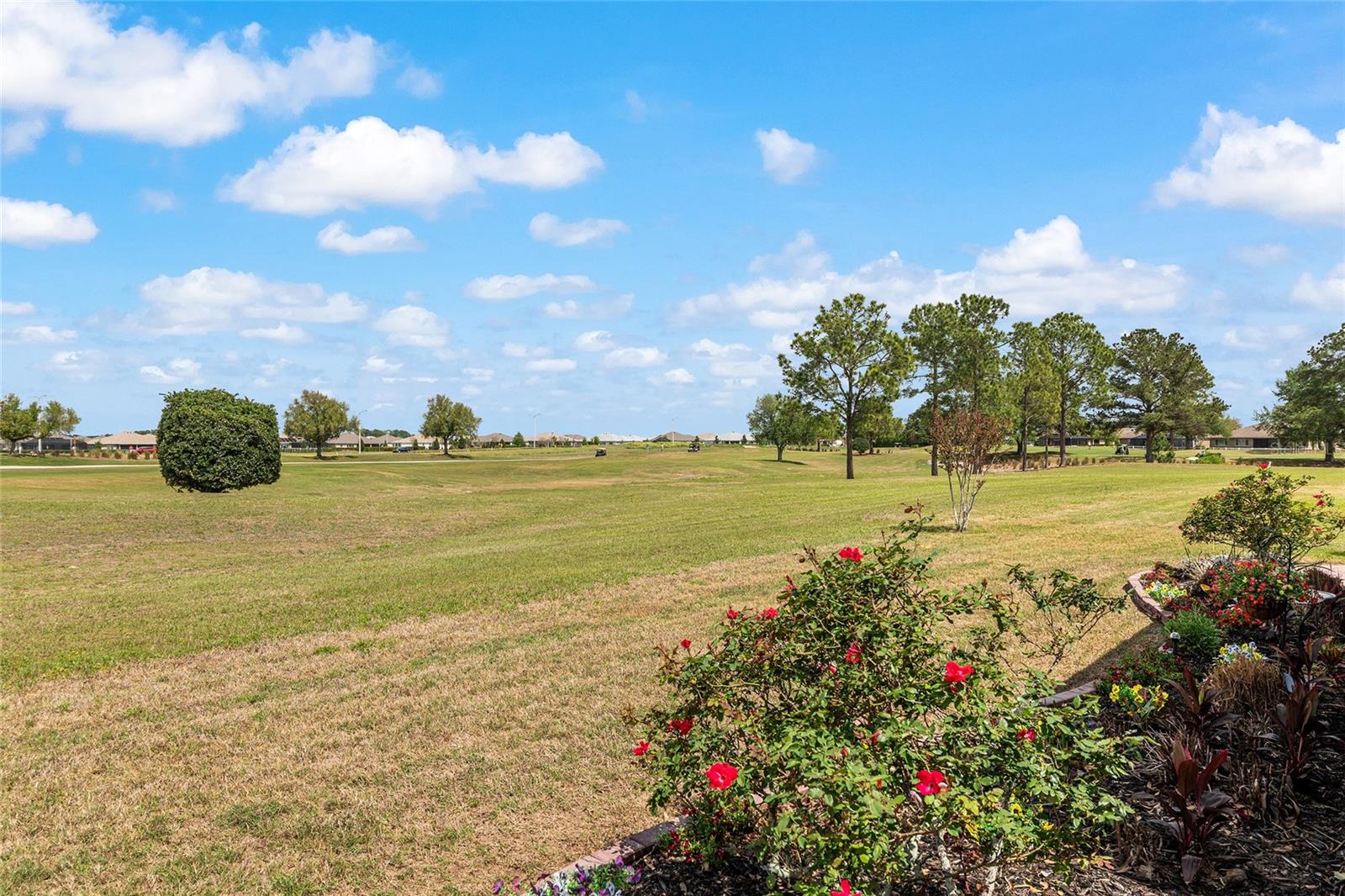 ON TOP OF THE WORLD - Residential