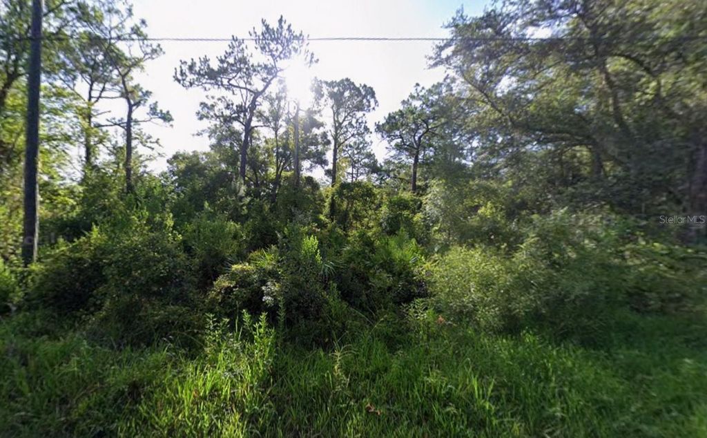 Photo of Atlee Street, New Port Richey, FL 34654 (MLS # K4903582)