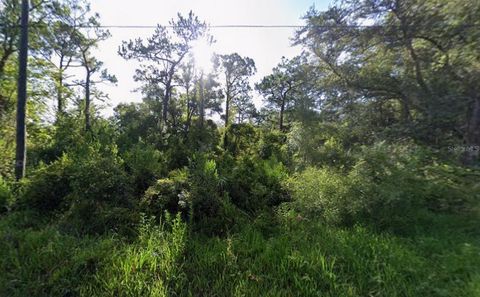 Photo of Atlee Street, New Port Richey, FL 34654 (MLS # K4903582)