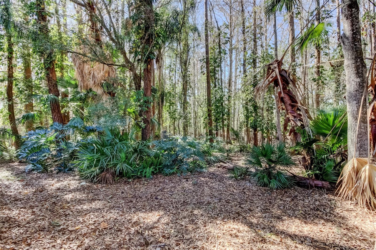 WESTCOTT SQUARE - Residential