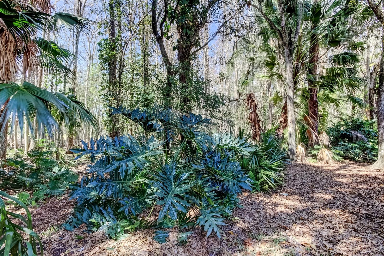 WESTCOTT SQUARE - Residential