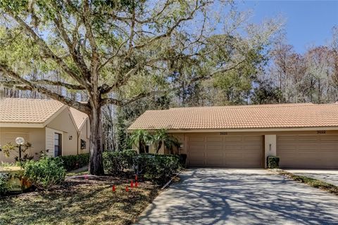 Photo of 3020 Windmoor Drive, Palm Harbor, FL 34685 (MLS # TB8480382)